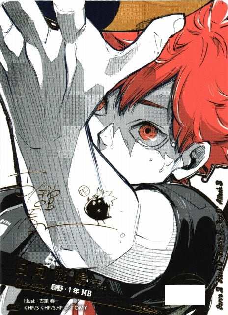 Haikyuu Break TCG HV-P01 Box – Anna & Timmy Co